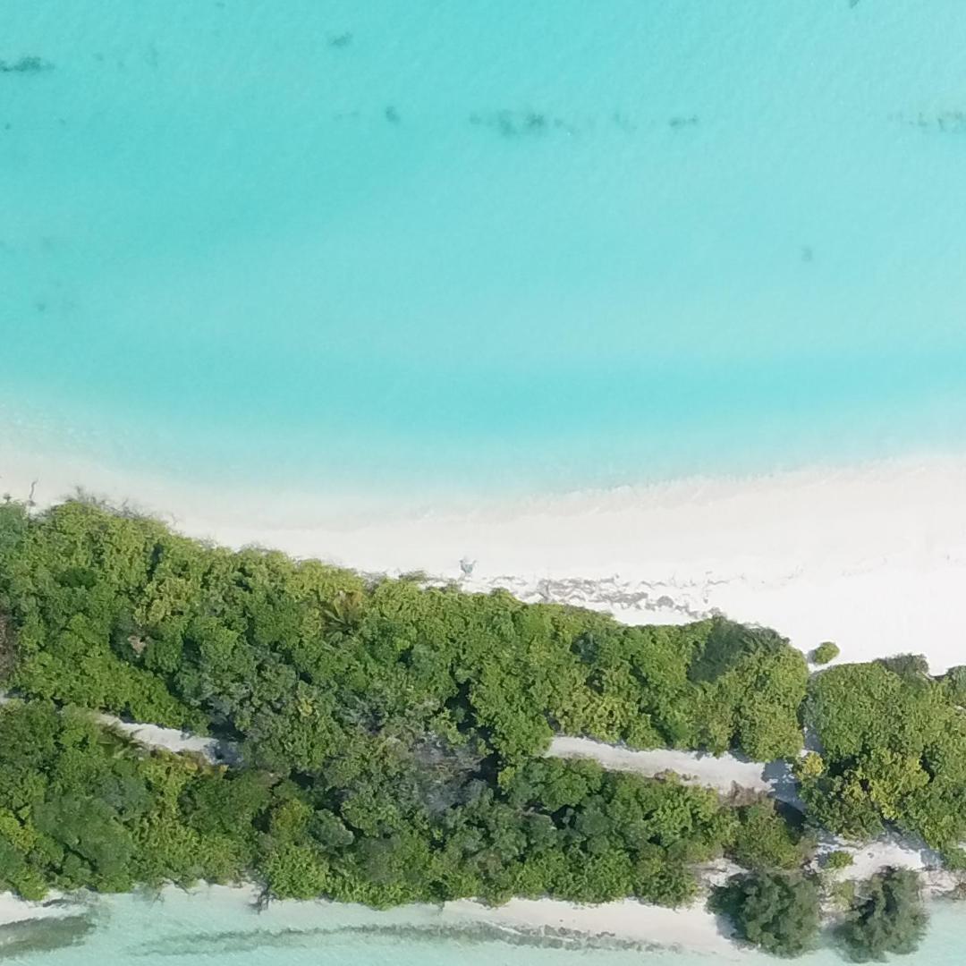 פולהדהו Villa Laguna Maldives מראה חיצוני תמונה